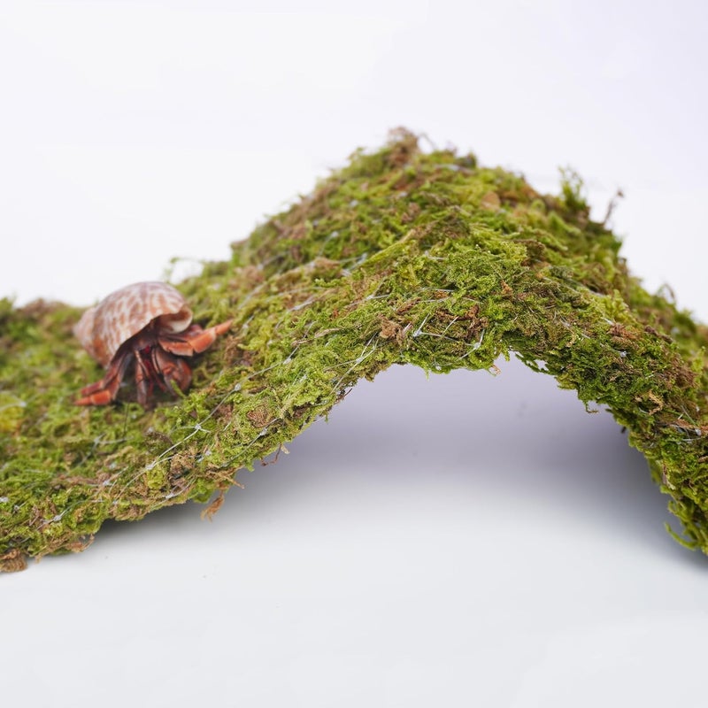 Begeterday Hermit Crab Climbing Toys, 13.5 inch Bendable Climbing Bridge, Ideal Hermit Crab Supplies for 10 Gallon Hermit Crab Tank - Image 2